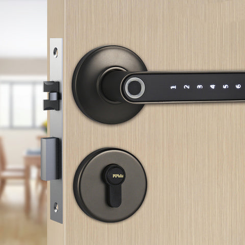 Smart Fingerprint & Digital Password Door Lock


