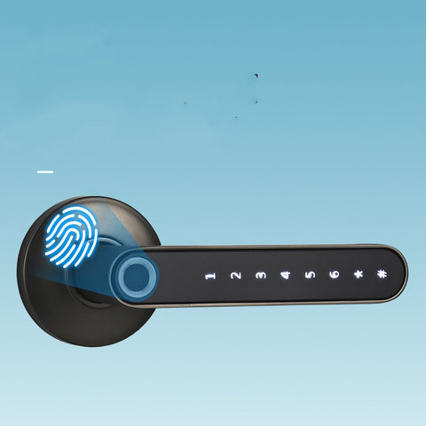 Smart Fingerprint & Digital Password Door Lock
